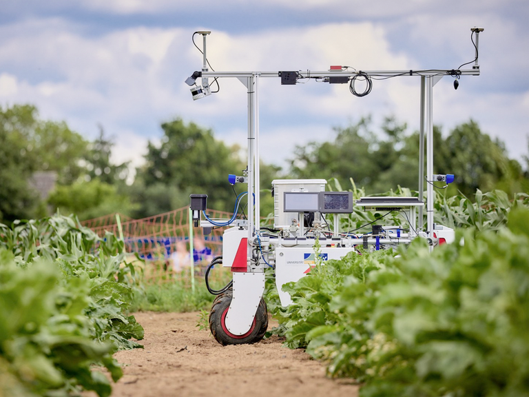 Ein Roboter auf dem Feld: