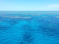 Sea level Cairns