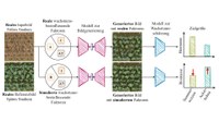 Die Software wird mit Fotos von verschiedenen Wachstumsstadien (links) trainiert. Danach kann sie auf Basis eines einzelnen Ausgangsfotos von einem anderen Feld modellieren, wie sich die Kultur entwickeln wird (Mitte; die Bilder zeigen, wie sich die Variation bestimmter Kultur-Parameter auf das Wachstum auswirkt).