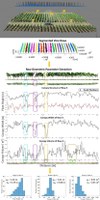 3D_Phenotyping_Viticulture_image2.jpg